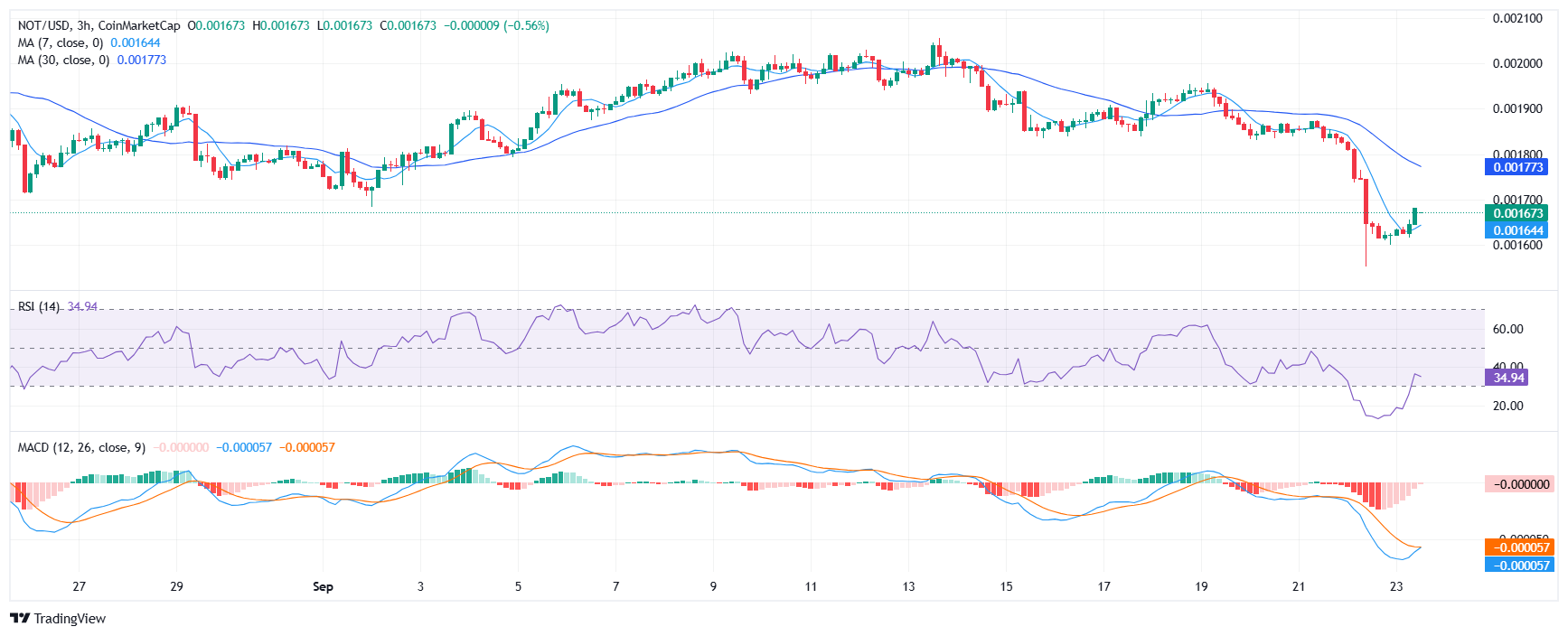 Notcoin 价格分析