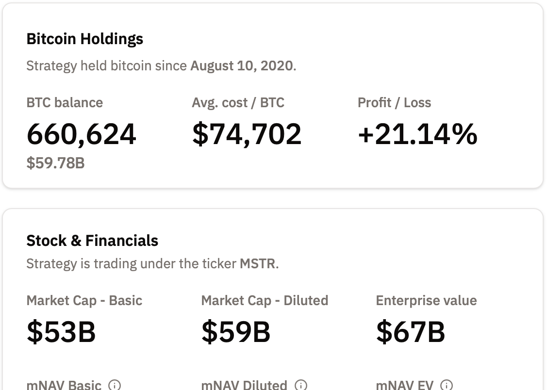 微策略，麥可·賽勒