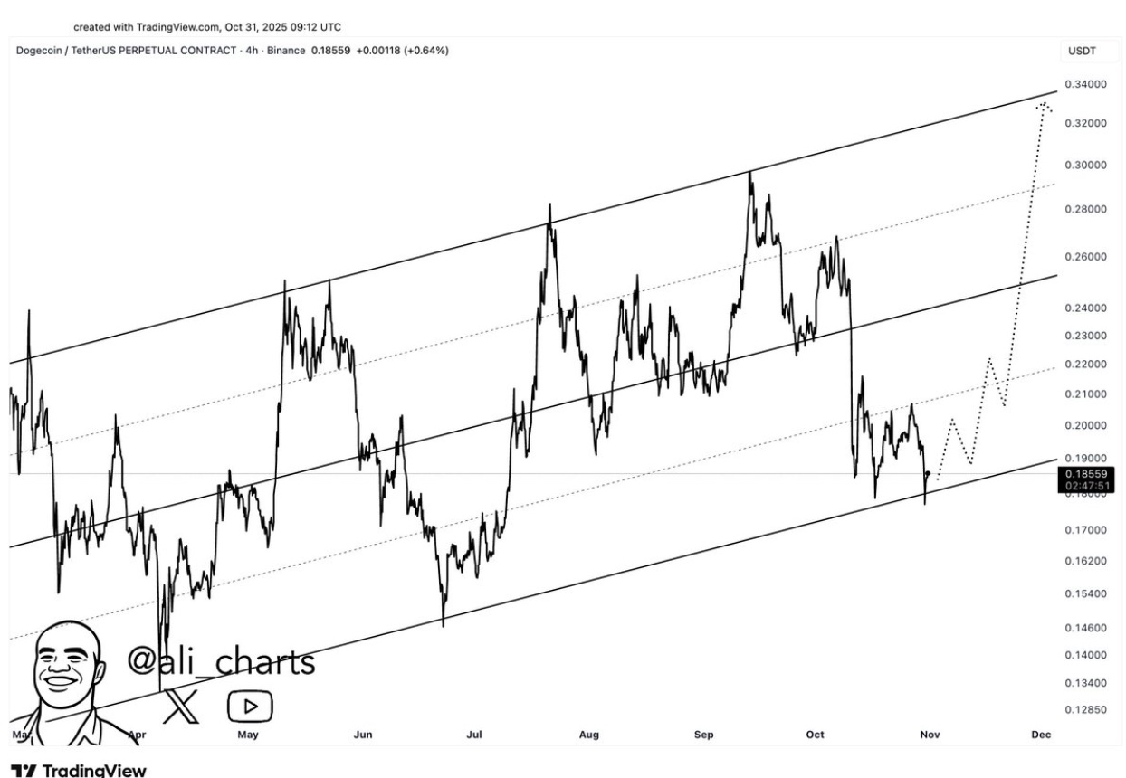 狗狗币价格测试关键支撑 |资料来源：Ali Martinez