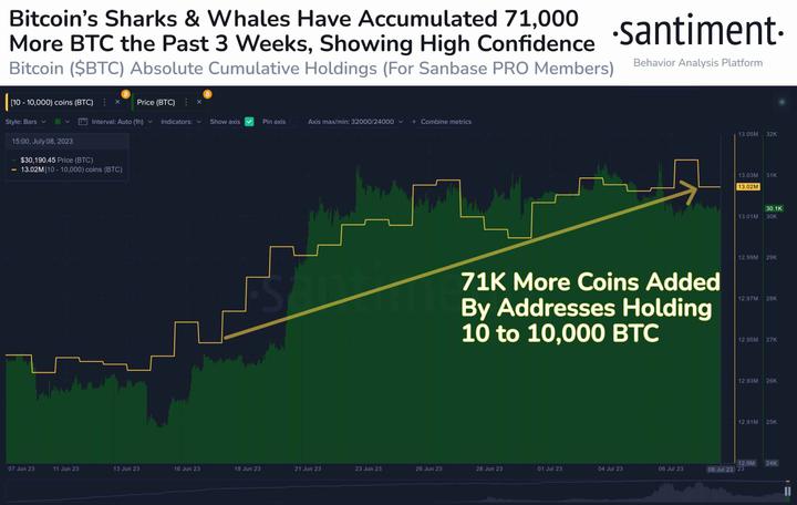 BTC Sharks and Whales Accumulation