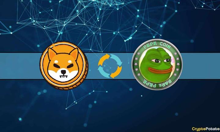 shib_pepe_cycle_cover