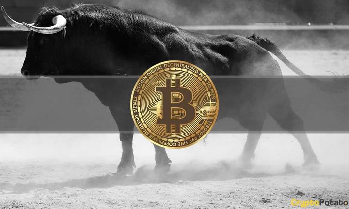 bitcoinbull_cover (1)