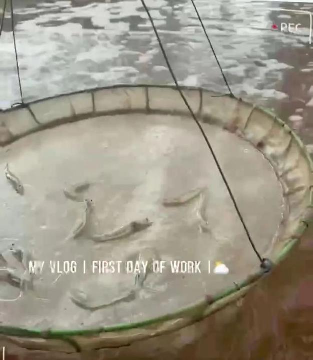 离开币圈的“老人们”：有人结婚生娃，有人创业再出发