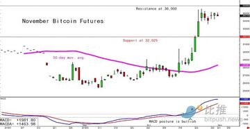 美联储继续暂停加息,比特币站稳3.5万美元