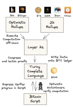 Polygon Ventures:对本轮牛市BTC生态的研究分析