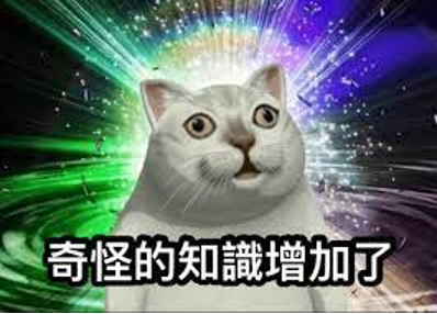《孤注一掷》科太币暴涨暴跌，浅谈Crypto圈中的Meme