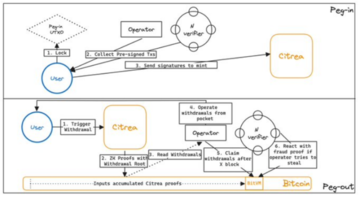 Polygon Ventures:对本轮牛市BTC生态的研究分析