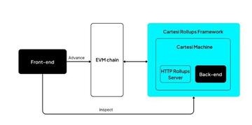 从EVM到模块化,基础协议技术采用正在转变