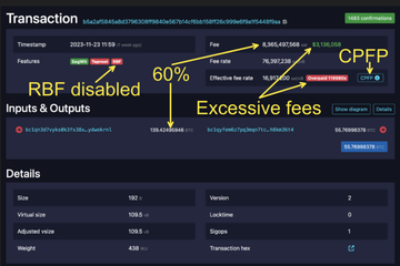 比特币也有黑暗森林:揭露链上恶意机器人