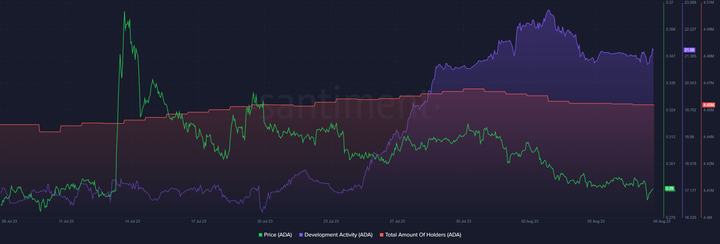 Cardano whales amass $116m as on-chain volume soars  - 1