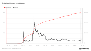 SHIB price struggles despite escalating number of addresses - 1