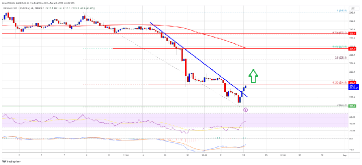BNB Price Prediction