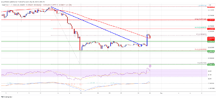 Dogecoin Price (DOGE)