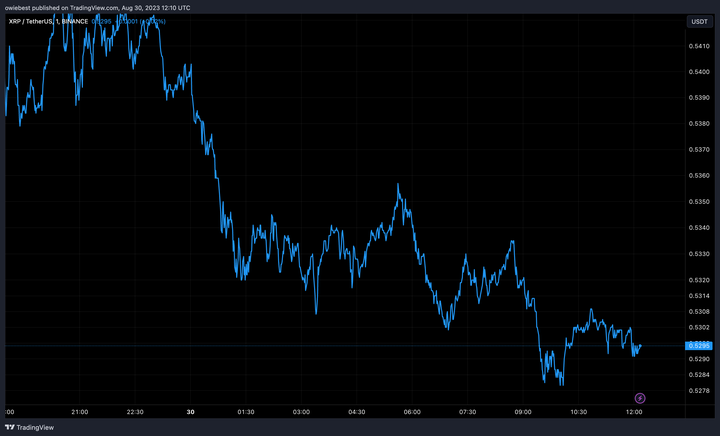 Ripple (XRP) price chart from Tradingview.com (Whales)
