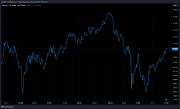 Bitcoin price chart from Tradingview.com (BTC whale)