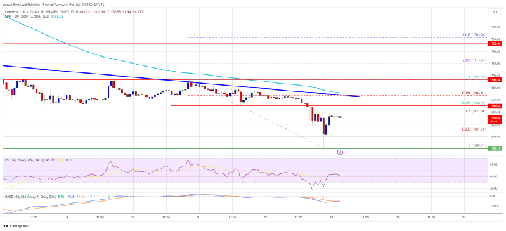Ethereum Price