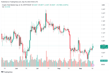 Hodlnaut