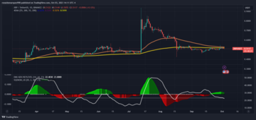 XRP price