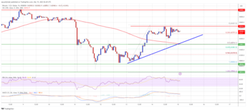 Bitcoin Price