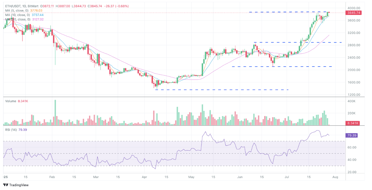 BitMart VIP 洞察 | 7月加密市场概览