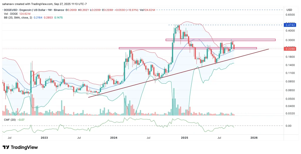 dogecoin fiyatı