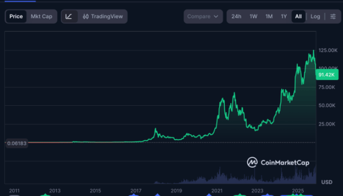 長期ビットコイン価格チャートは、2011年の$1 以下から2025年の$90,000以上へのビットコインの成長を示しており、複数のブルサイクルと調整があります。