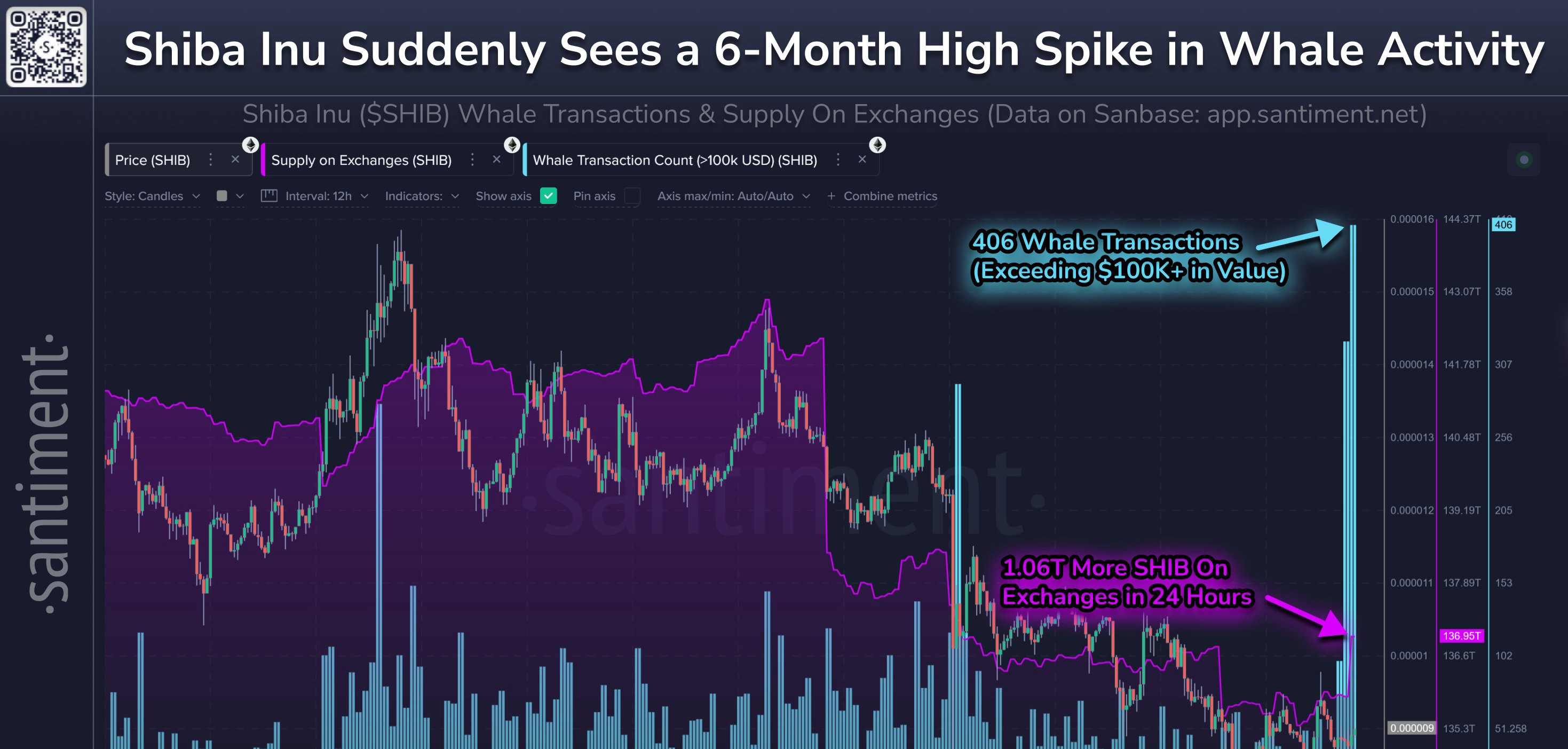 Shiba Inu Whale Transaction