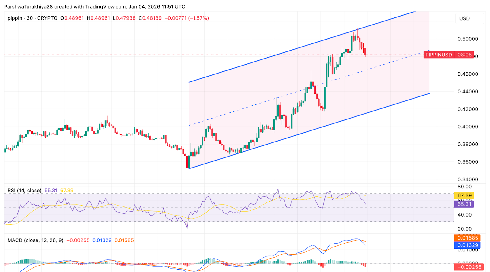 PIPPIN Price Dynamics