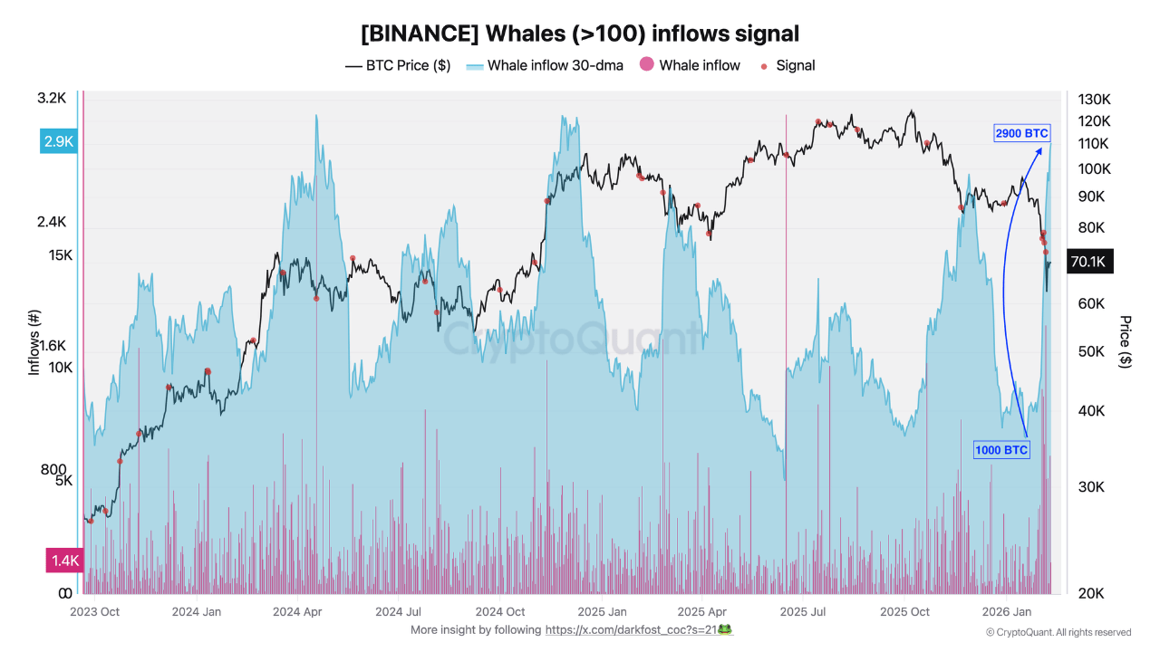 Binance Whales (>100) Inflows Signal | Source: CryptoQuant