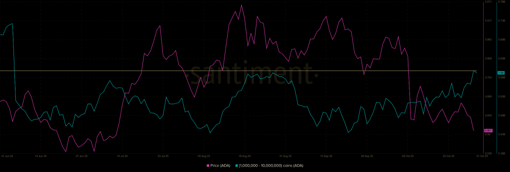 カルダノ価格予測2025年11月:クジラの蓄積は1ドルへのリバウンドを示唆