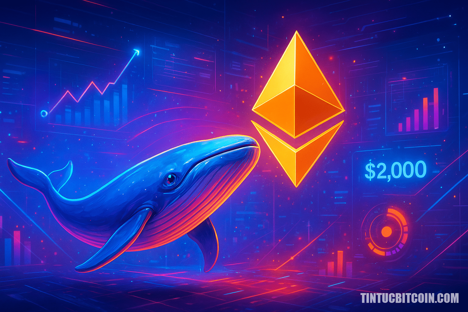 Cá voi gom ETH dưới 2.000 USD: Đã đến lúc mua Ethereum?