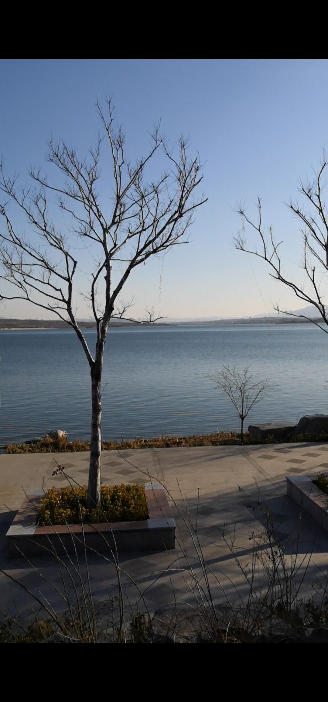 post-image