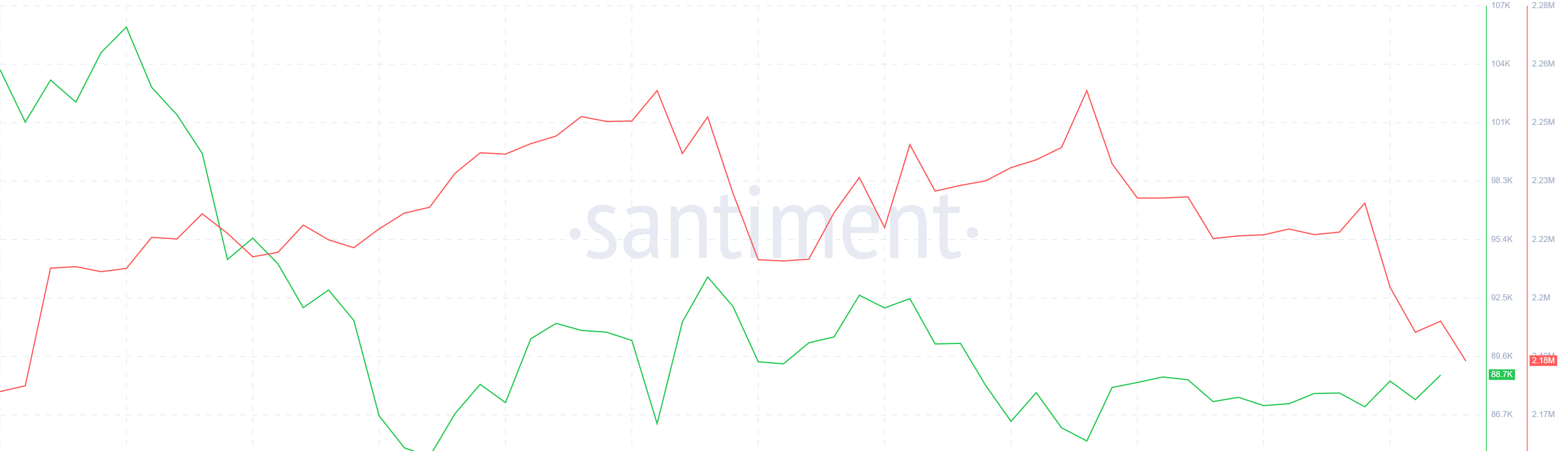 Bitcoin Whale Holding