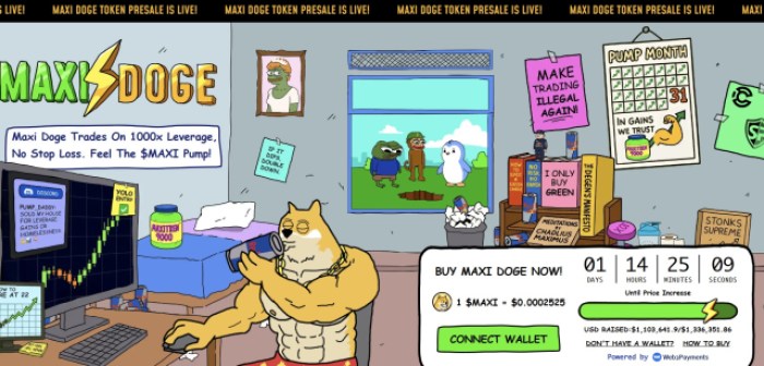 Maxi Doge ($MAXI)先行販売ライブ情報