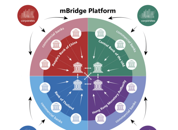 Un gráfico muestra cómo la plataforma multi CBDC mbridge conecta a los bancos centrales de varias naciones facilitando los pagos transfronterizos.