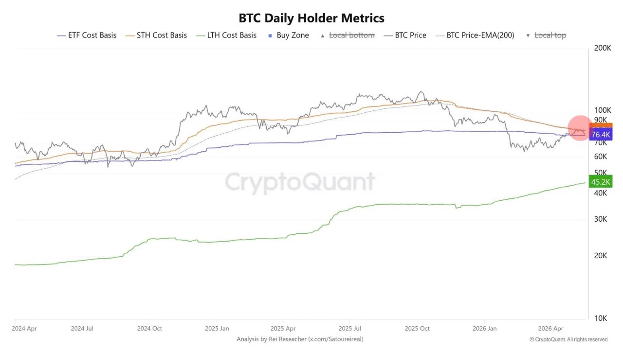 Bitcoin Daily Holder Metrics | Source: CryptoQuant