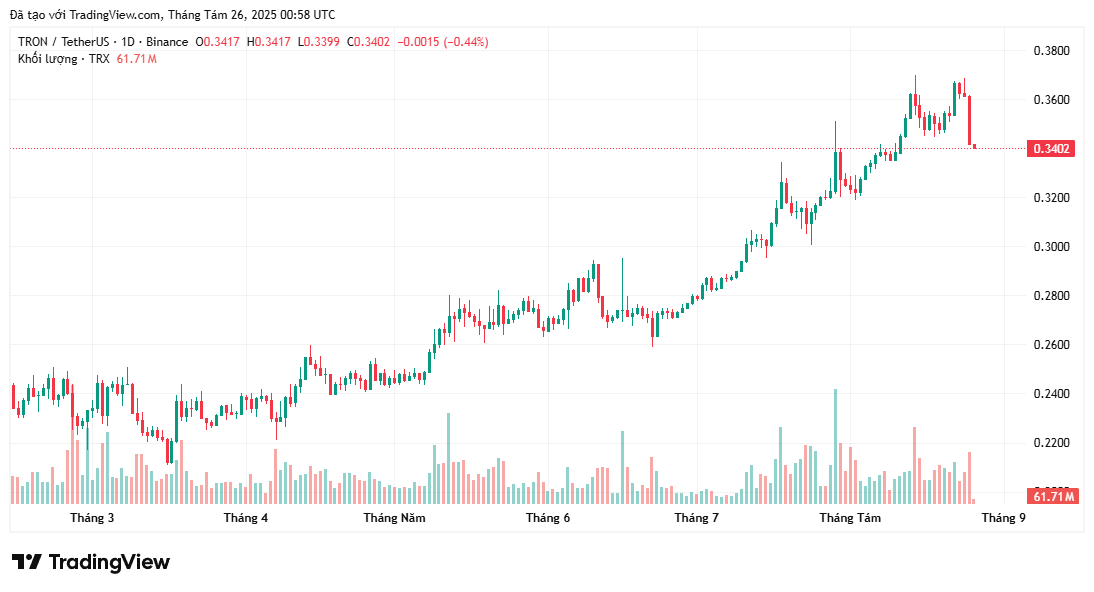 トロンが23.5億USDでステーブルコイン取引をリーディング、イーサリアムは20億USDにとどまる