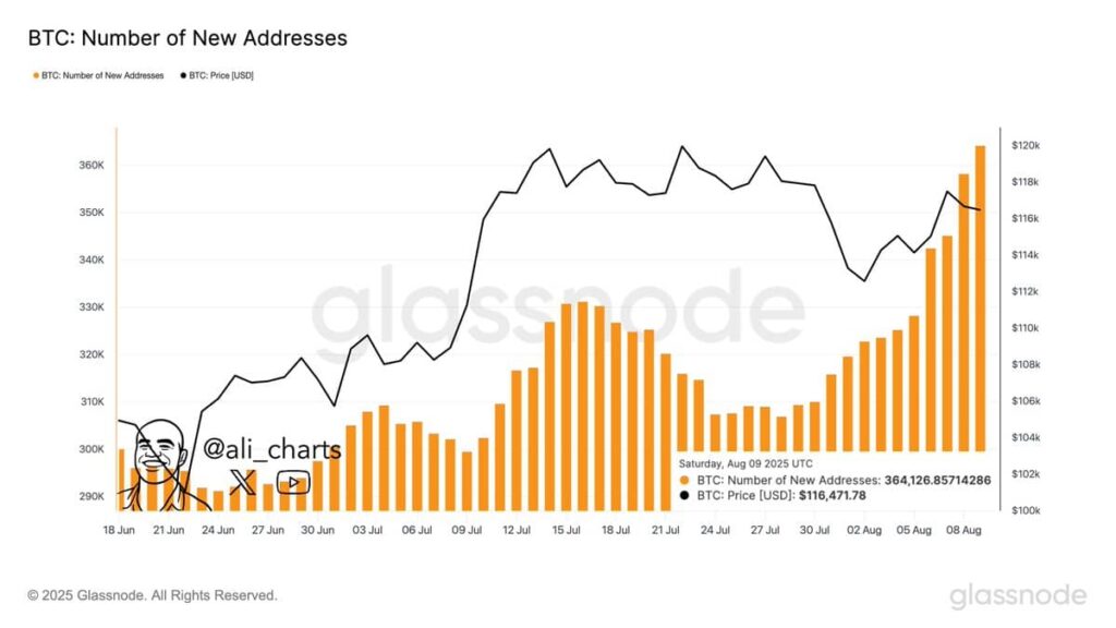 新しいビットコインのアドレスが2025年に記録的な強気を達成