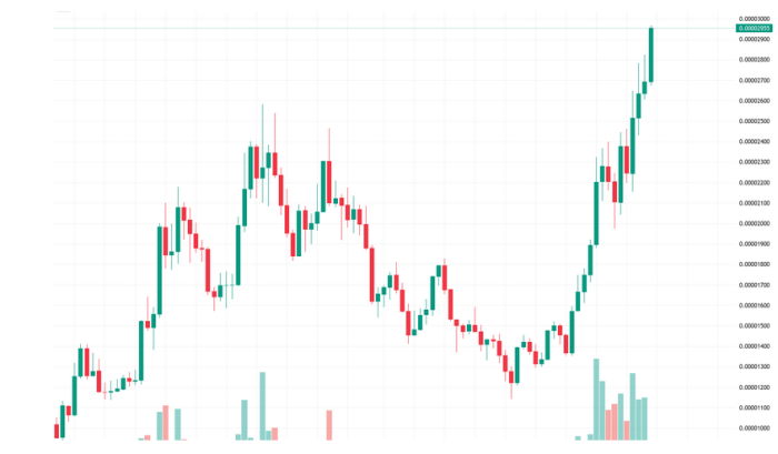 CoinMarketCapでのBONK価格