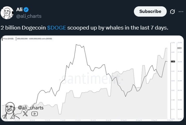 クジラが200億DOGEを購入、価格が0.30ドルに上昇する直前