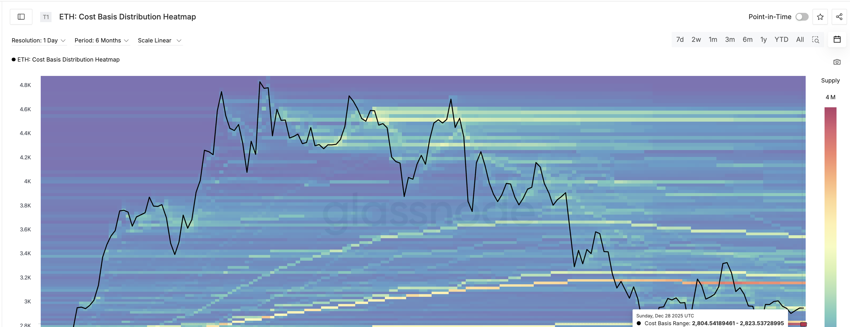 Strong Neckline Support