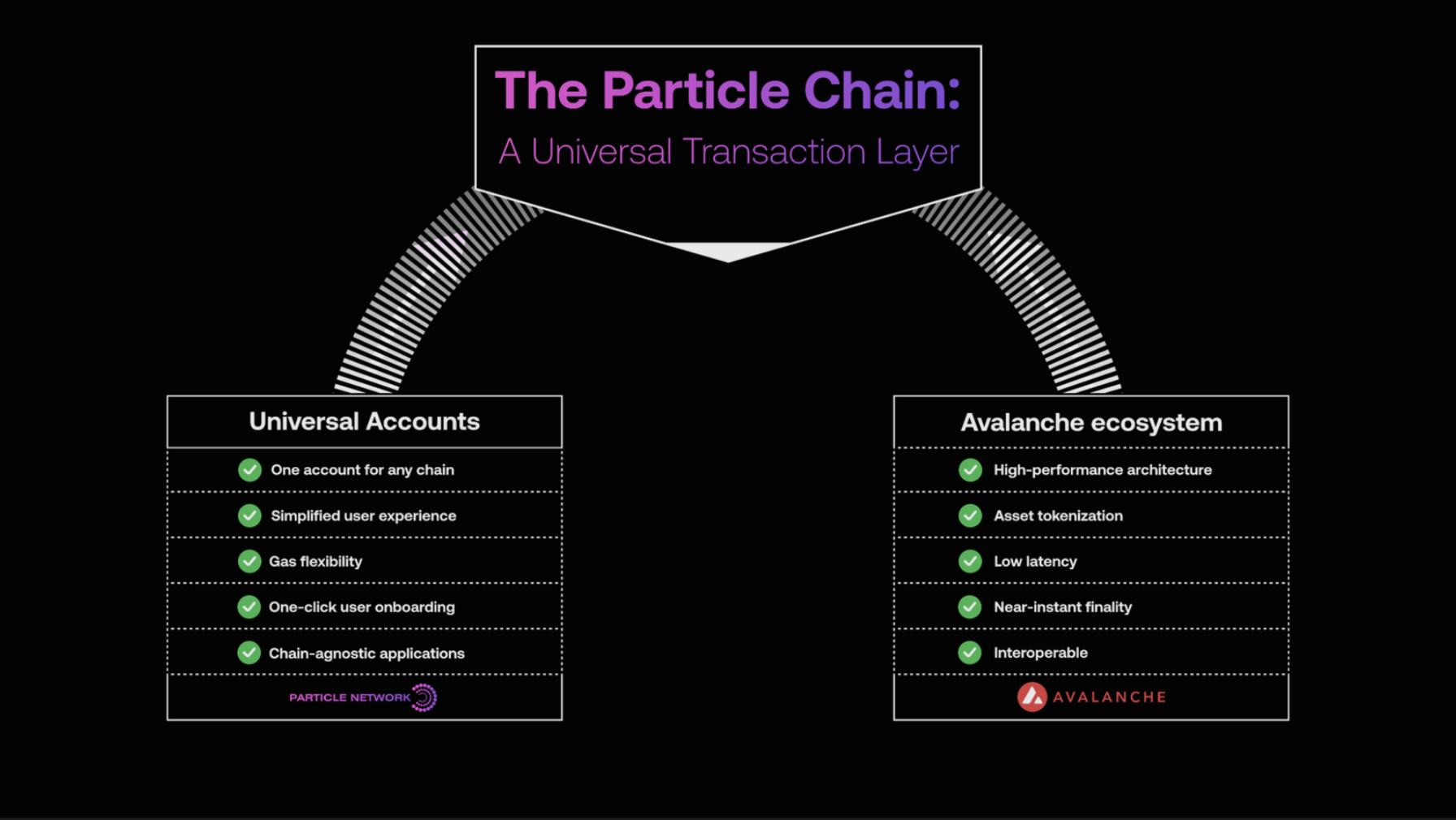 Particle Networkのモジュール式L1がAvalancheで打ち上げられる - 1