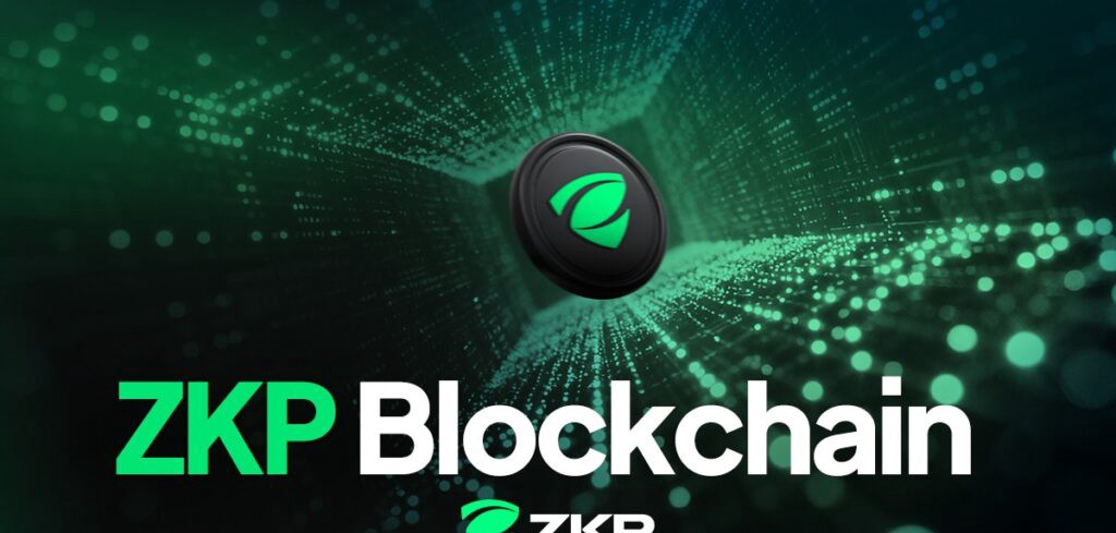 ZKP Ecosystem Overview