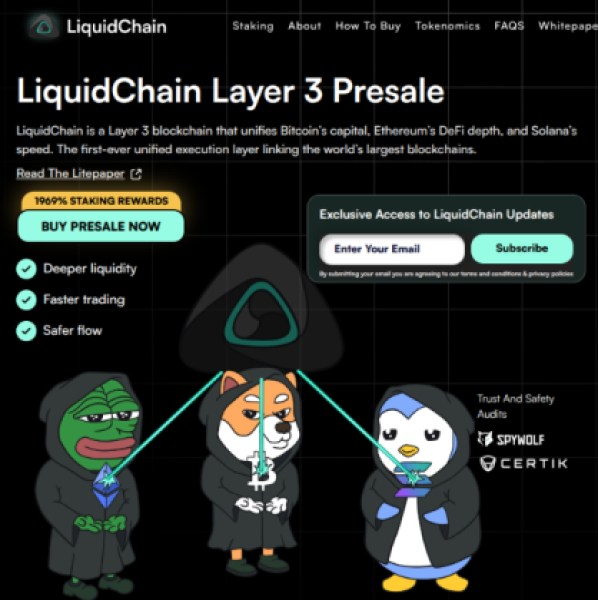 LiquidChain landing page with a quick explanation.
