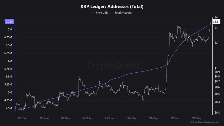 XRP Ledger、DeFiブームで過去最高の724万ウォレットを記録 