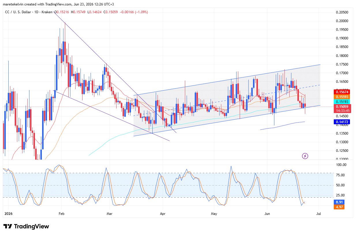 CC price analysis