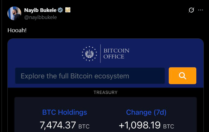 ブケレの出版物のスクリーンショット