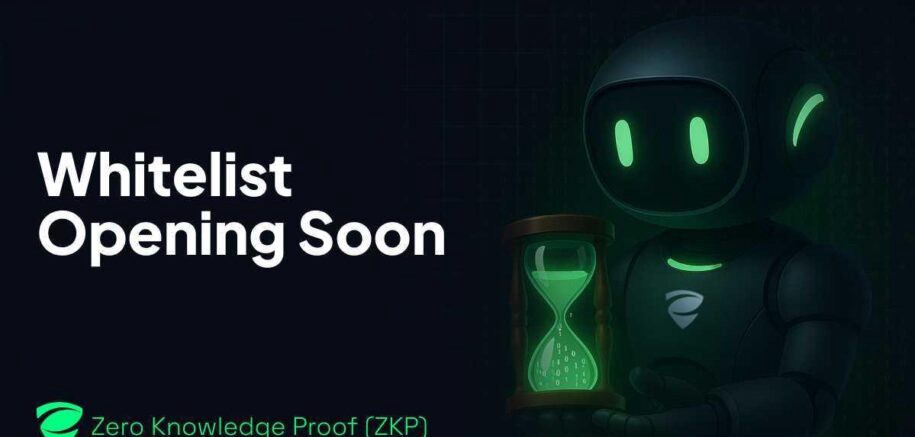 ゼロ知識証明(ZKP):それらすべてを支配する1つのブロックチェーン