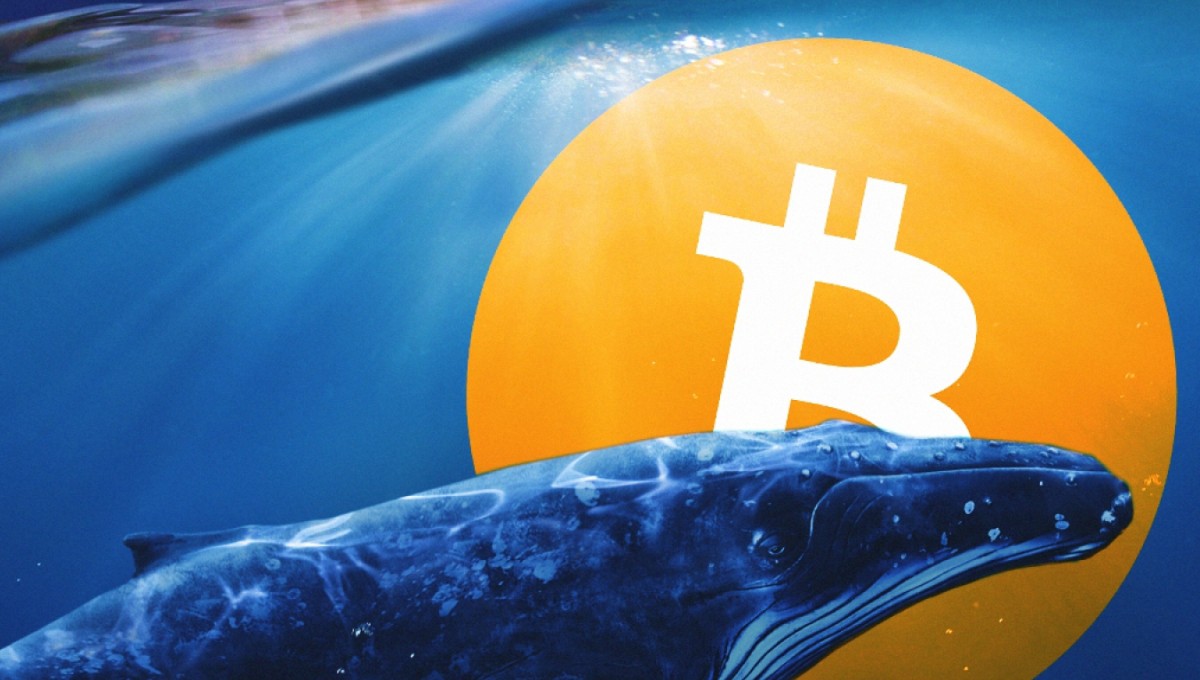 ビットコインニュース:クジラは下落を買っているが、小口トレーダーはパニック