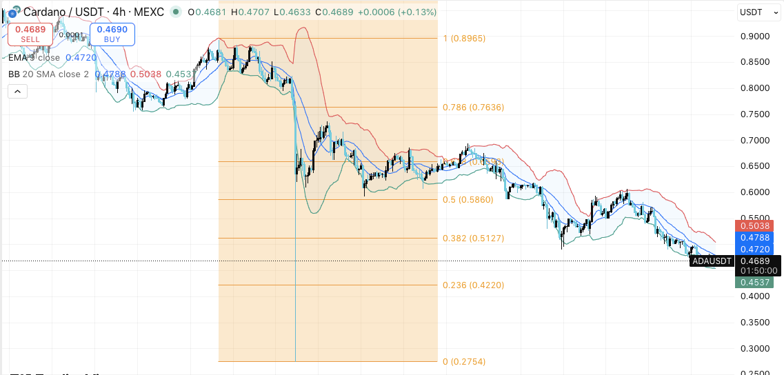 ADA価格ダイナミクス